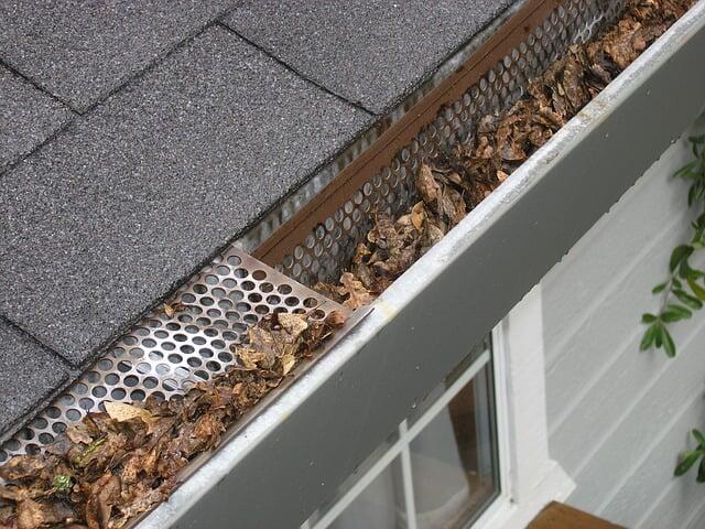 How to Choose the Right Gutter Leaf Guards for Your Home